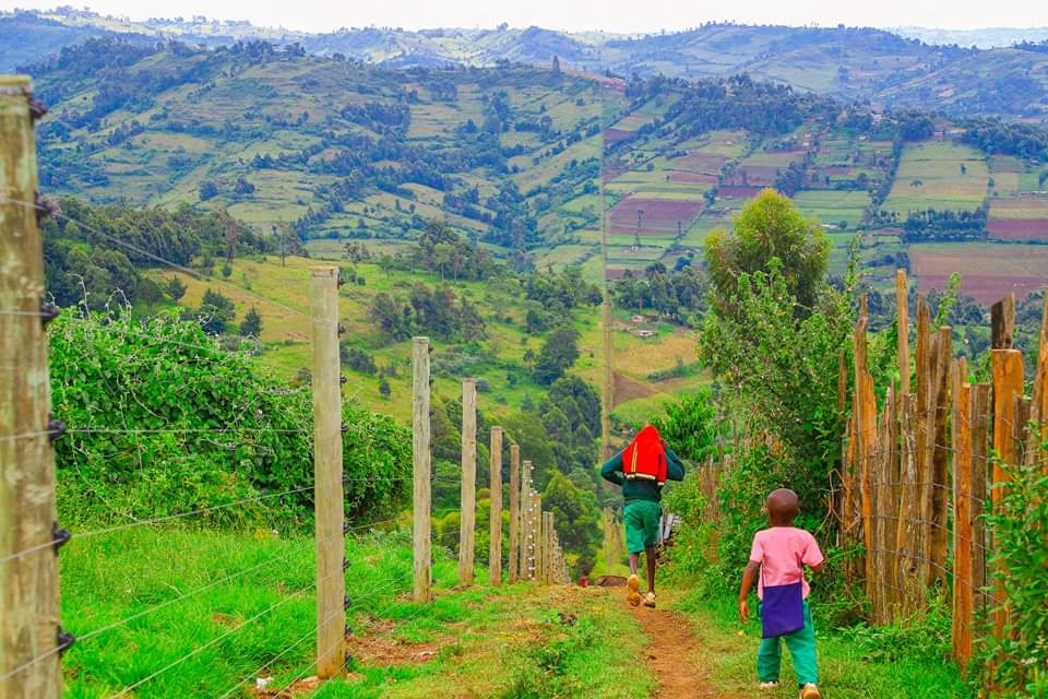 Kenya Towers Authority completes first 30km smart fence to prevent human-wildlife conflict completed in Maasai Mau Forest