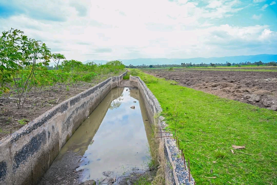 A section of the project under construction.