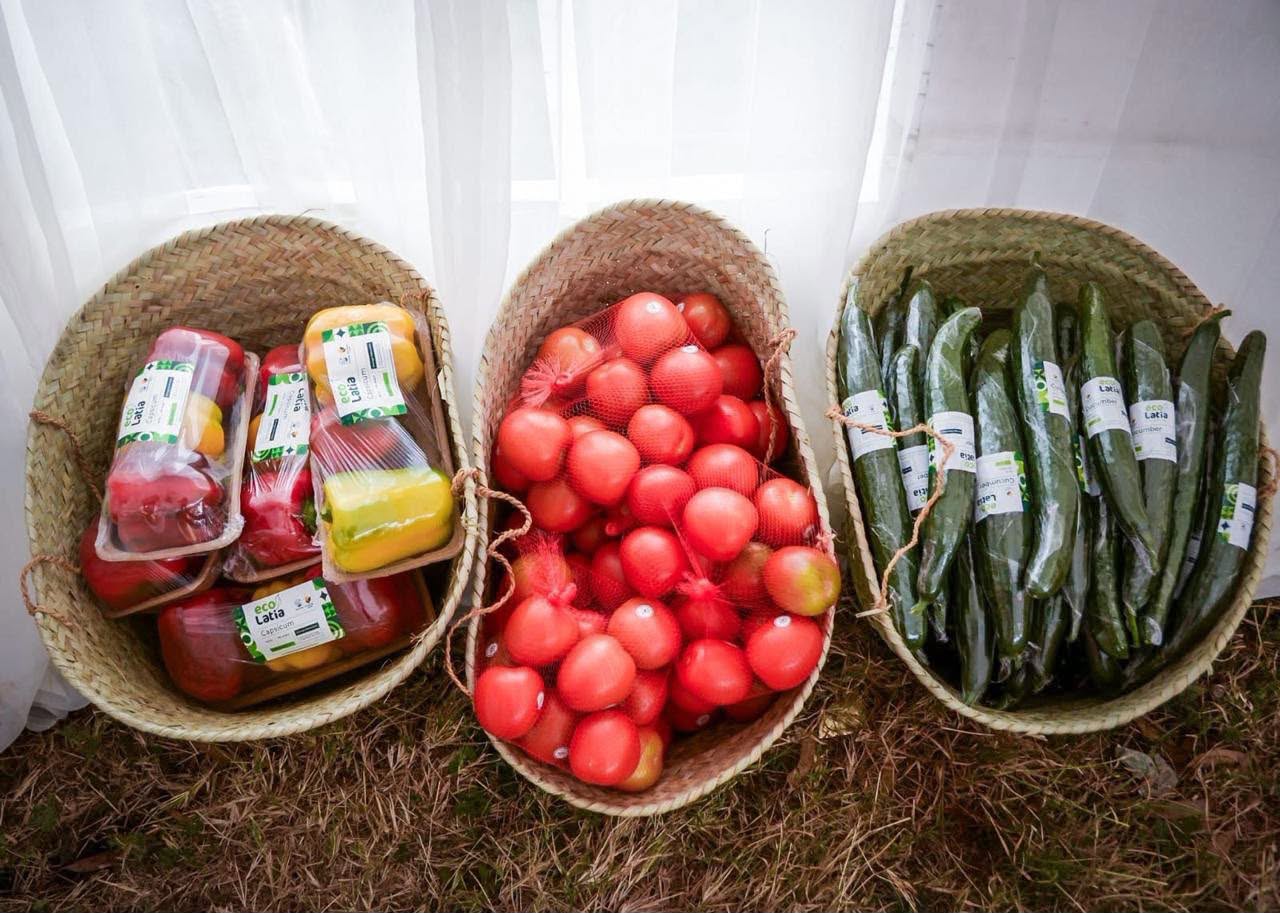 Safely produced vegetables on display.