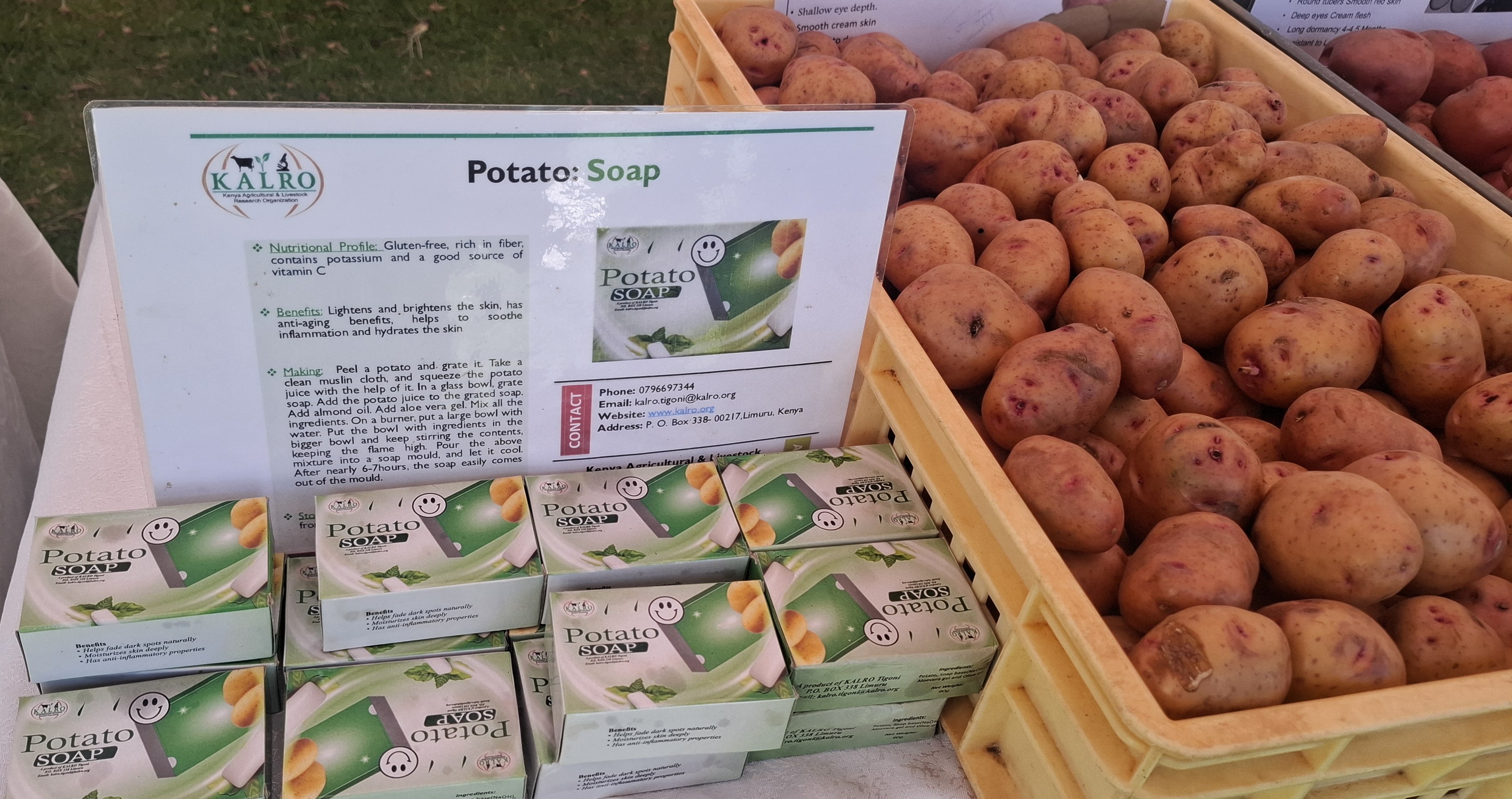 The Kenya Agricultural and Livestock Research Organization (KALRO) researcher Faida John speaking about the value addition on potatoes, specifically on soap.