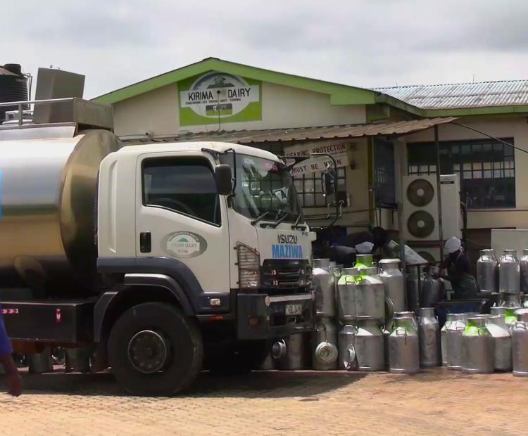 Milk delivery