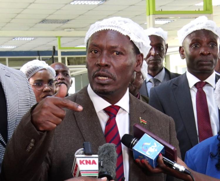 Kabogo