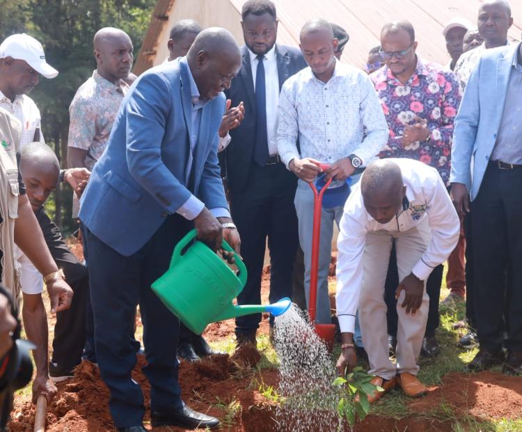 1. Vihiga County Governor Dr Wilberforce Ottichilo plants a certified coffee seedling during the launch of the Coffee Sector Revitalisation Programme, reaffirming the county government’s commitment to restoring coffee production