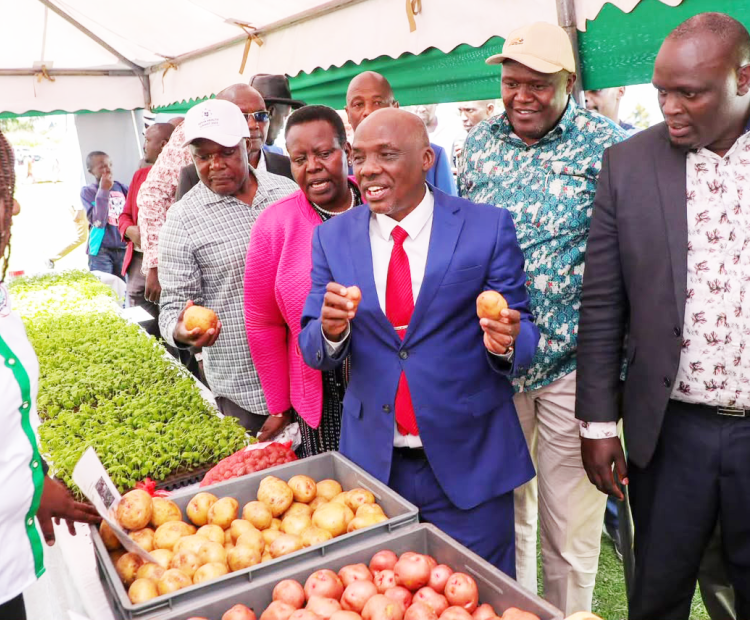 Nakuru Deputy Governor Dr David Kones, Principal Secretary for Agriculture Dr Paul Rono, Nakuru Woman Representative Liza Chelule Chepkorir, KALRO Director General Dr Patrick Ketiem and other officials examine potato varieties and seedlings during the commissioning of the KALRO Seed Potato Production Centre at Marindas, Kuresoi North, Nakuru County.